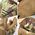 Multicam Tactical Glove Camo Army Military Combat Airsoft Bicycle Outdoor Hiking Shooting Paintball Hunting Full Finger Gloves